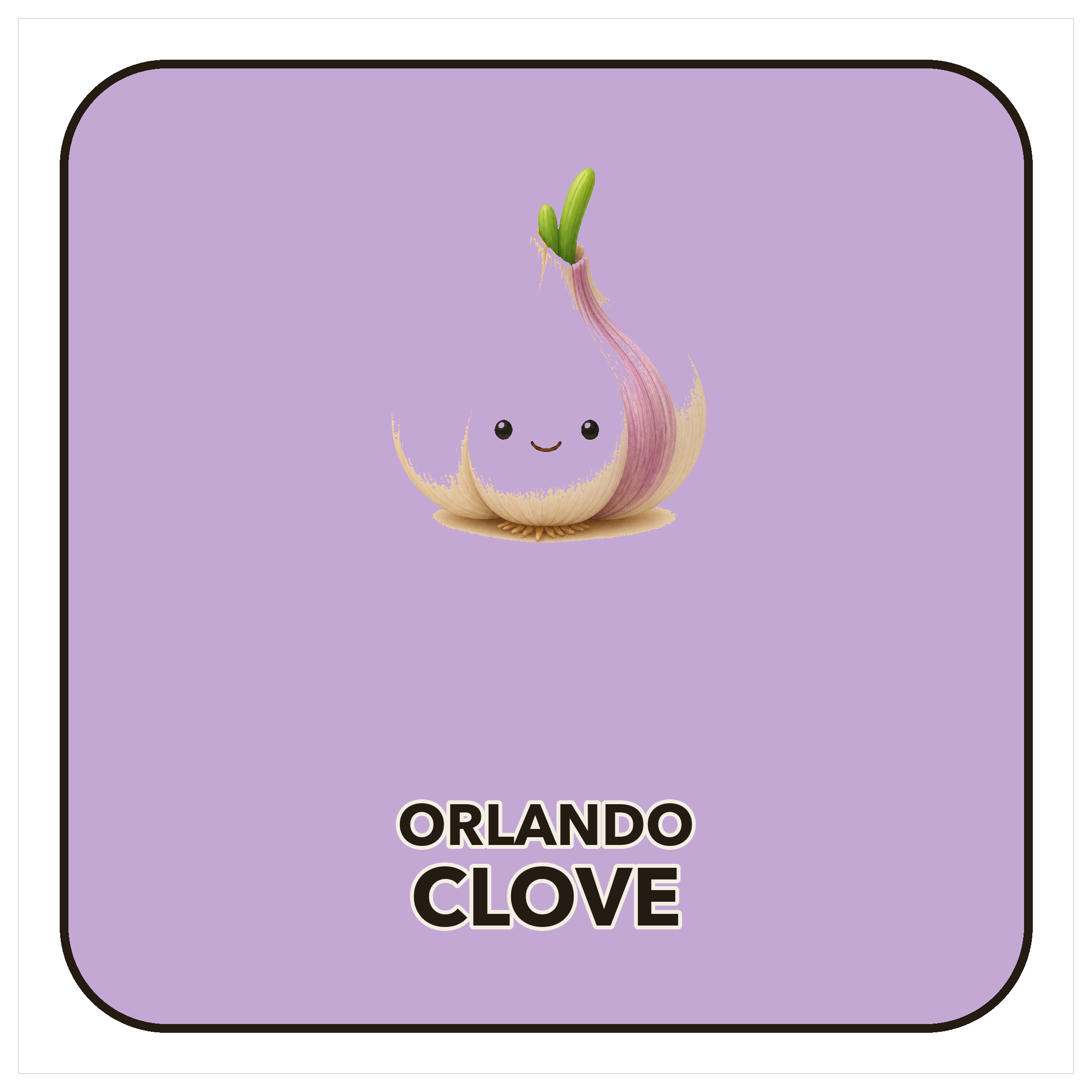 Clove garlic magnet